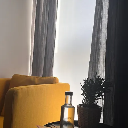 Central Studio ホームステイ