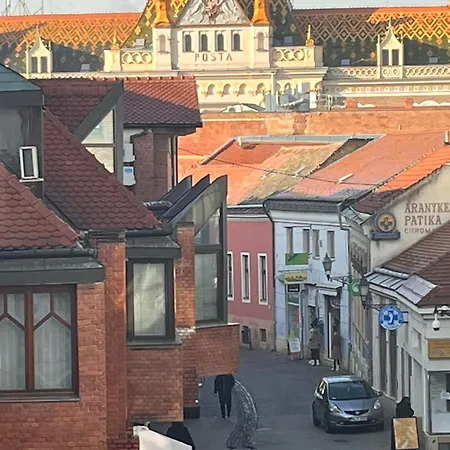 홈스테이 Central Studio 페치